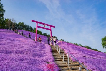 Trải nghiệm một mùa hè đầy nắng tại Hokkaido