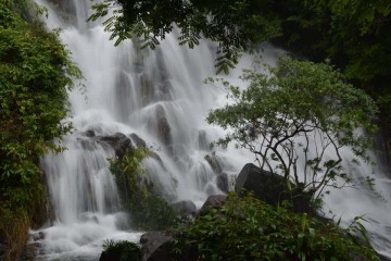 Khu du lịch sinh thái vườn Phong Nha Kẻ Bàng