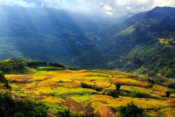 Đi du lịch Sapa mùa thu