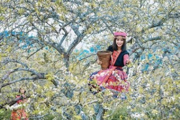 Đi du lịch Sapa mùa nào đẹp