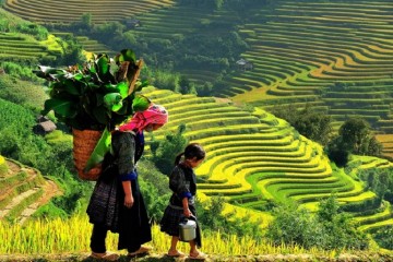 Du lịch Sapa 2-9 có gì