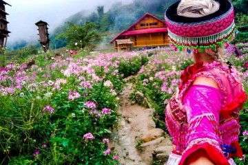 Du lịch Sapa Tết có gì
