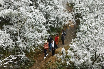 Kinh nghiệm du lịch Sapa tháng 12