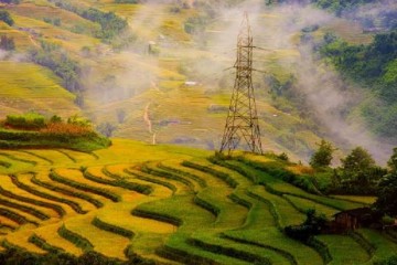 Thung Lũng Mường Hoa Sapa