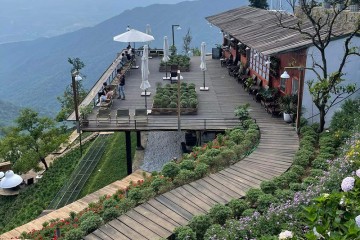 Đi du lịch Tam Đảo tháng 7 có gì đẹp
