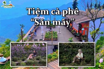 Du lịch Tam Đảo - Ghé thăm tiệm cà phê săn mây