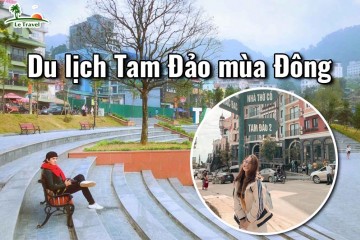 Du lịch Tam Đảo vào mùa Đông có gì?
