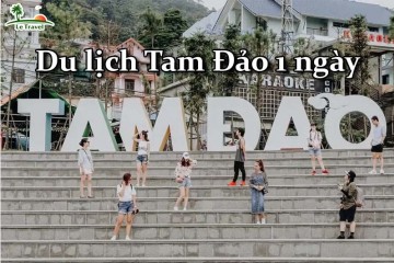 Kinh nghiệm du lịch Tam Đảo chỉ với 1 ngày