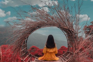 Nên đi du lịch Tam Đảo mùa nào đẹp