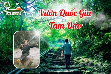 Những trải nghiệm đặc biệt khi đến Vườn Quốc Gia Tam Đảo