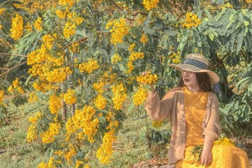 Du lịch Tây Nguyên mùa nào đẹp