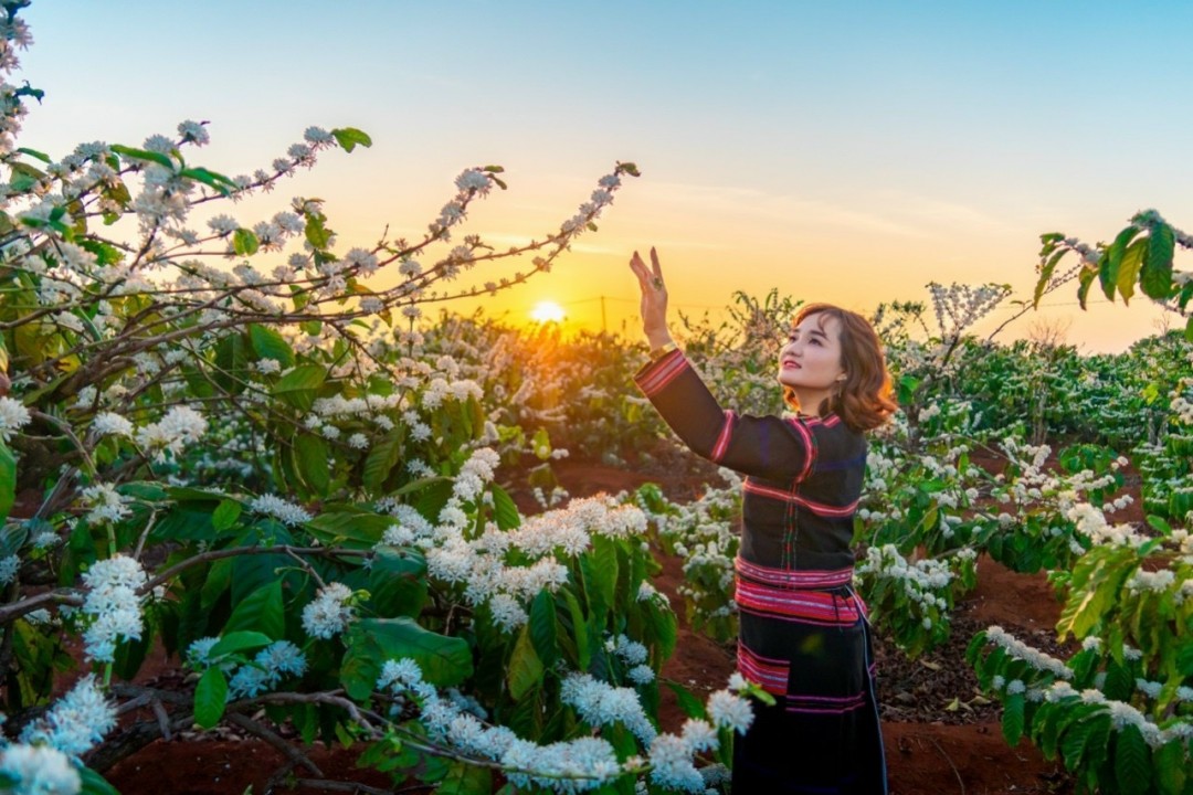 Tour Du Lịch Tây Nguyên 5 Ngày 4 Đêm Mùa Hoa Cà Phê