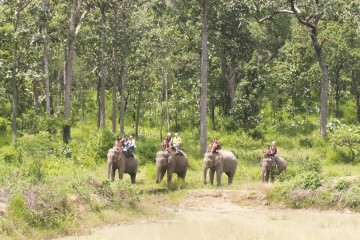 Khám phá Vườn quốc gia Yok Đôn