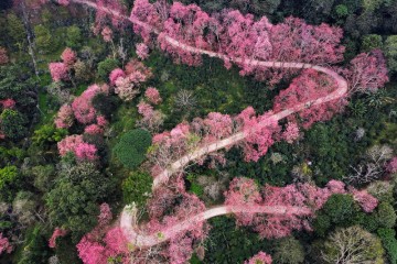 Du xuân Chiang Mai - Chiang Rai