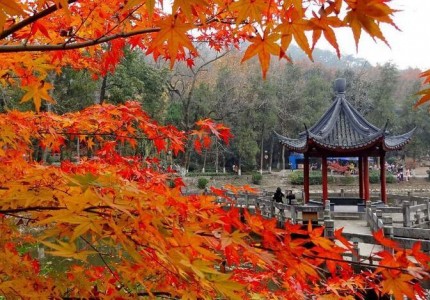 Khám phá vẻ đẹp mùa thu Trung Quốc