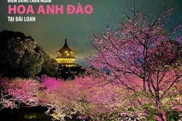NHỮNG ĐIỂM DỪNG CHÂN LÝ TƯỞNG NGẮM HOA ANH ĐÀO TẠI ĐÀI LOAN