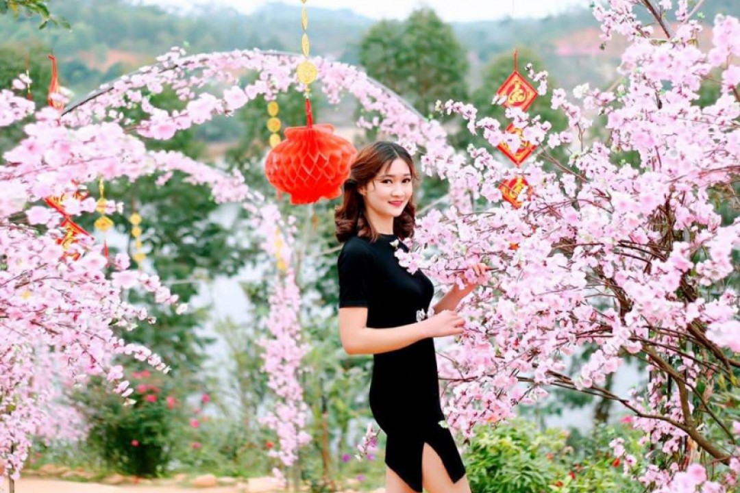 Trải nghiệm Du Lịch Tam Đảo 1 Ngày