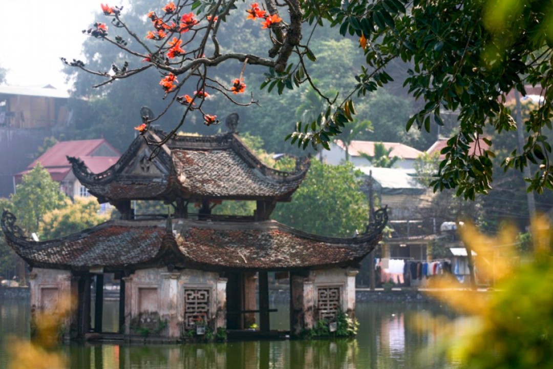Tour Du Xuân Chùa Thầy - Chùa Tây Phương - Đường Lâm 1 Ngày