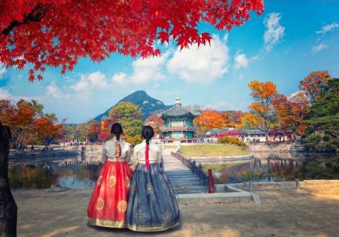 Du lịch Seoul - Nami Island - Everland 5 ngày 4 đêm từ Hồ Chí Minh 2025