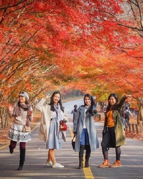 Tour Du Lịch Hàn Quốc: Seoul- Đảo Nami - Everland - Tháp Namsan 5 Ngày 4 Đêm
