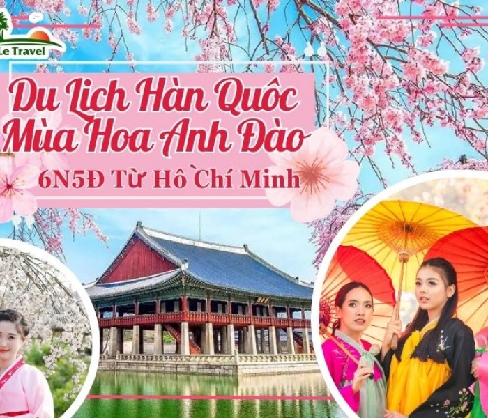 Du Lich Hàn Quốc 6 ngày 5 Đêm Từ Hồ CHí Minh Mùa Hoa Anh Đào (Bay Vietnam Airline)