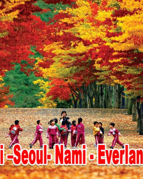 Du Lịch Hàn Quốc 5 Ngày 4 Đêm - Seoul- Nami - Everland  Bay (Vietjet Air)