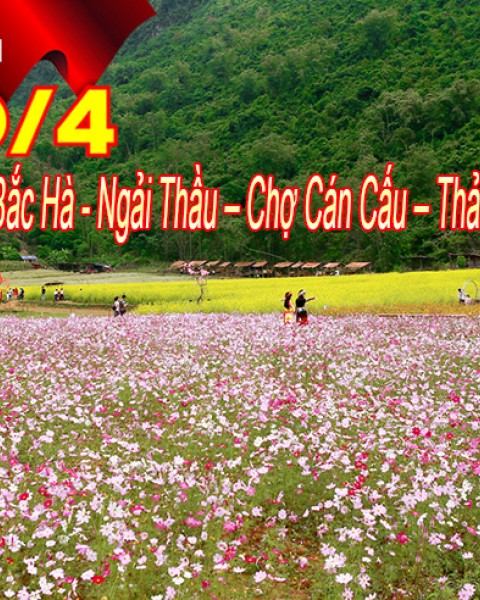 Hà Nội - Bắc Hà - Ngải Thầu – Chợ Cán Cấu – Thải Giàng Phố 3 Ngày Lễ 30/4-1/5