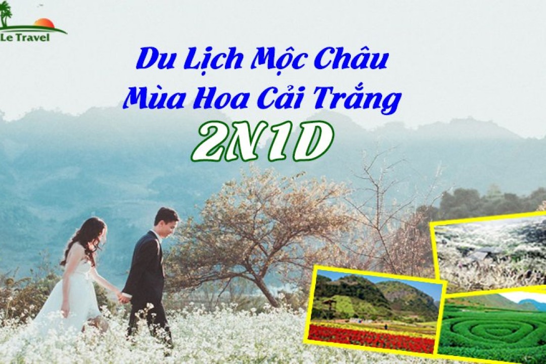 Du Lịch Mộc Châu Mùa Hoa Cải Trắng 2 Ngày 1 Đêm
