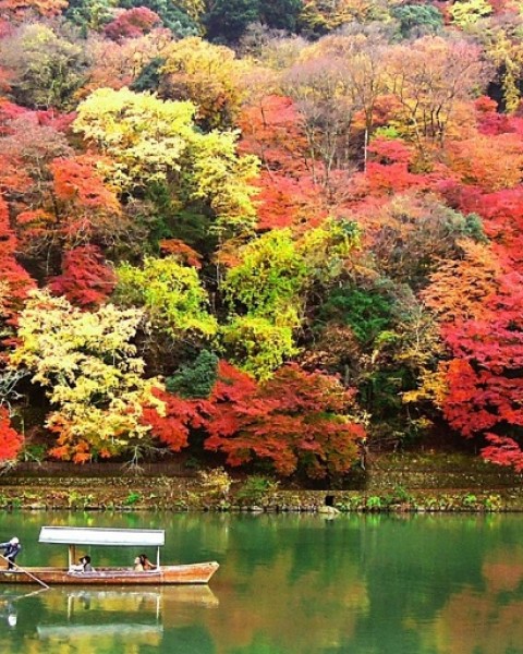 Tour Du Lịch Nhật Bản Cung Đường Vàng: Osaka – Kyoto – Fuji – Tokyo Bay Vietjet 6 Ngày 5 Đêm
