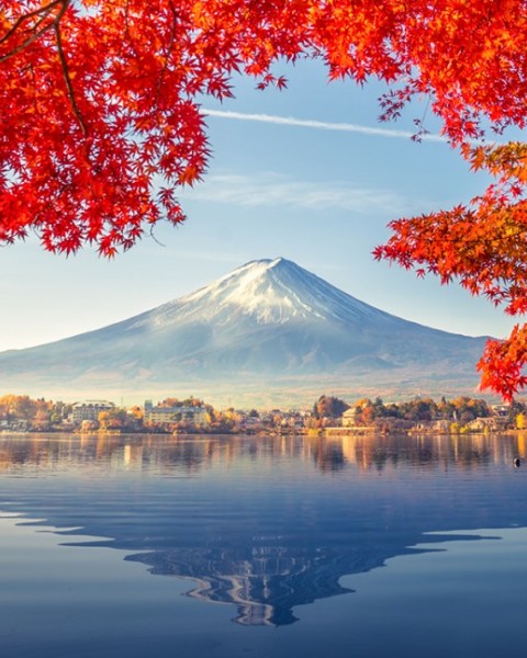 Tour Du Lịch Nhật Bản Cung Đường Vàng: Osaka – Kobe – Kyoto – Fuji –  Tokyo Bay Vietnam Airlines 6 Ngày 5 Đêm