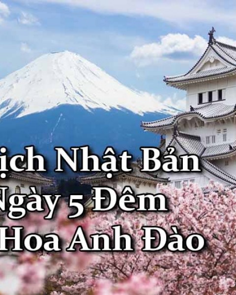 Du Lịch Nhật Bản 6 Ngày 5 Đêm Mùa Hoa Anh Đào (Bay Vietnamairlines, Shinkansen)