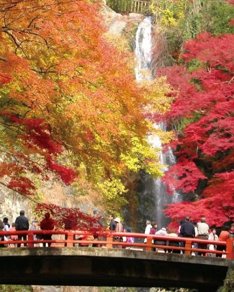 Tour Du Lịch Nhật Bản : Tokyo - Phú Sĩ 5 Ngày 4 Đêm