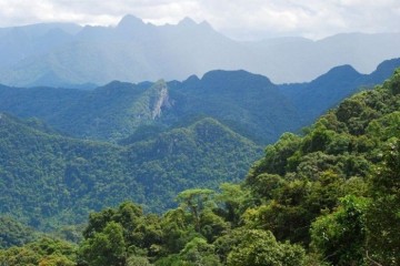 Đỉnh U Bò Quảng Bình – Thiên đường săn mây giữa lòng Trường Sơn
