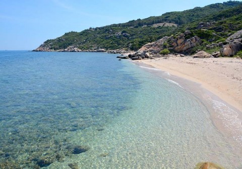 Tour Du Lịch Đảo Cù Lao Xanh 1 Ngày 