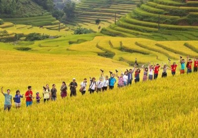 Tour Mù Cang Chải – Tú Lệ Suối Giàng 3 Ngày 2 Đêm Mùa Lúa Chín