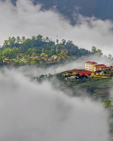 Tour Ngải Thầu Săn Mây Y Tý 2 Ngày 1 Đêm