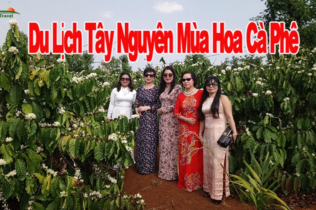 Du Lịch Tây Nguyên 4 Ngày 3 Đêm Mùa Hoa Cà Phê