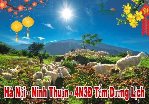 Du Lịch Ninh Thuận 4 Ngày 3 Đêm Tết Dương Lịch 2024
