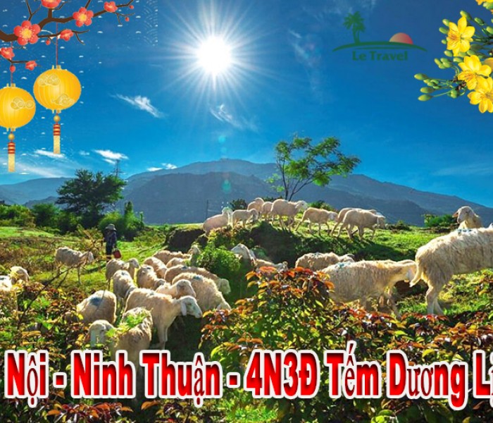 Du Lịch Ninh Thuận 4 Ngày 3 Đêm Tết Dương Lịch 2024