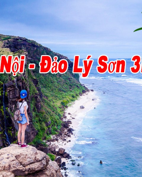 Du Lịch Lý Sơn 3 Ngày 2 Đêm Hè 2024 Từ Hà Nội