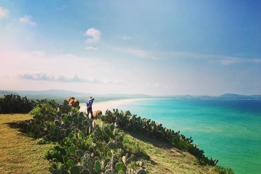 Tour Du Lịch Quy Nhơn - Phú Yên 3 Ngày 3 Đêm