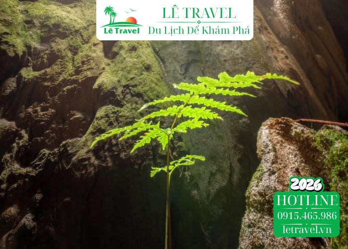 Bỏ túi kinh nghiệm chinh phục Hung Thoòng từ Lê Travel