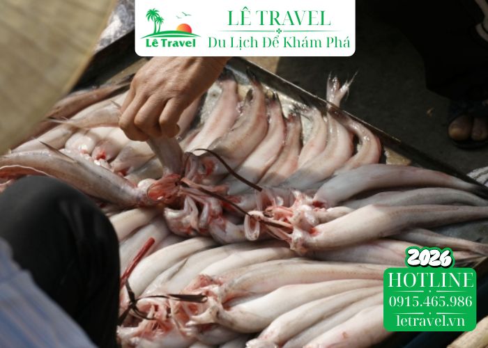 Cách chọn cá biển tươi ngon (Cá khoai, cá nghéo, cá bớp)