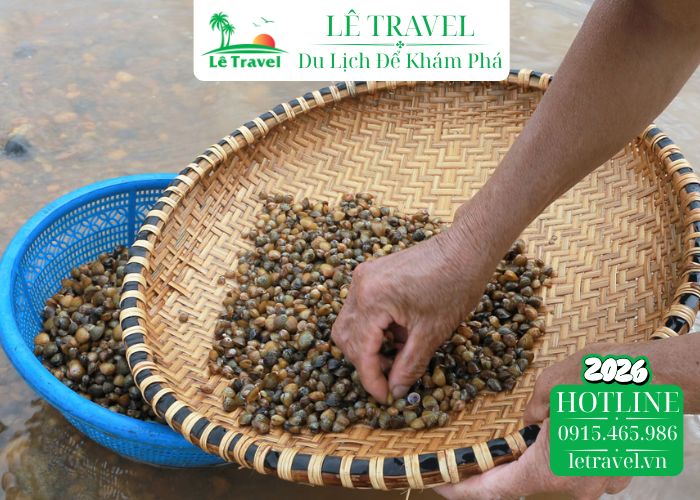 Chắt chắt sông Gianh là gì và tại sao lại khác con hến?