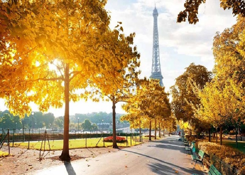 Vẻ đẹp mùa thu Paris