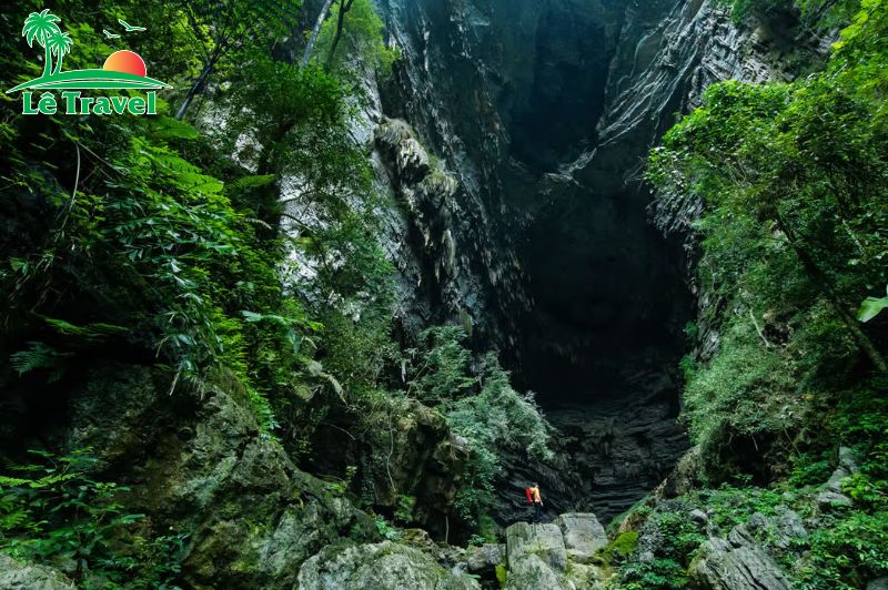 Một hệ sinh thái riêng biệt ngay tại Hang Tiên