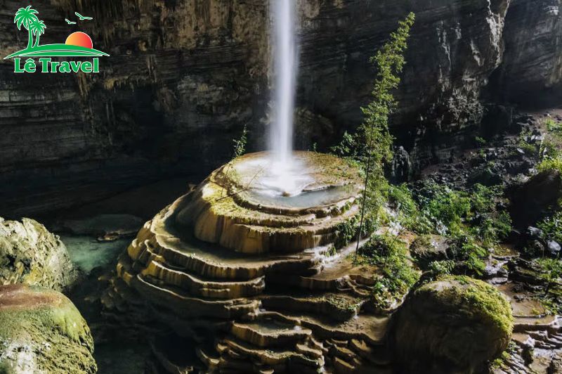 Một hệ sinh thái ngay trong hang