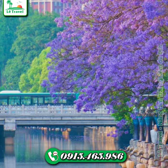 Lời Khuyên Hữu Ích & Hướng Dẫn Chuẩn Bị