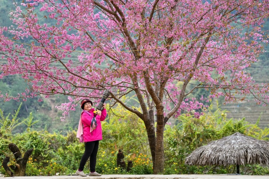 Chụp ảnh hoa tớ dày