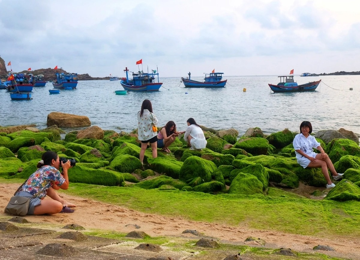 Làng chài Nhơn Hải mùa rêu xanh